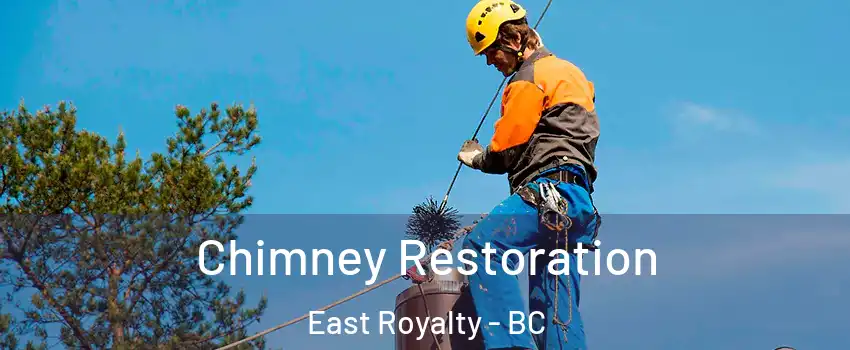  Chimney Restoration East Royalty - BC