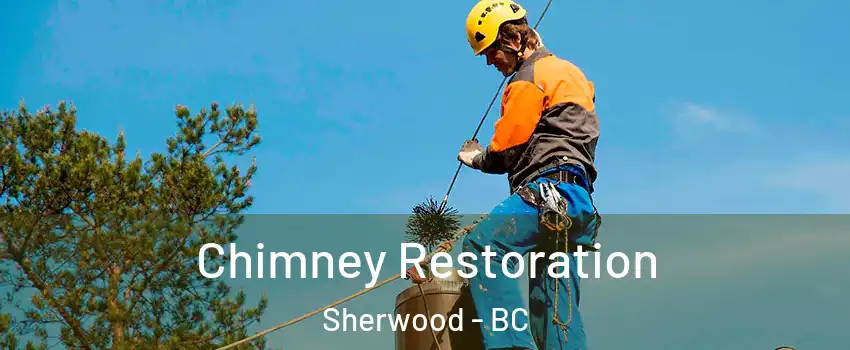 Chimney Restoration Sherwood - BC