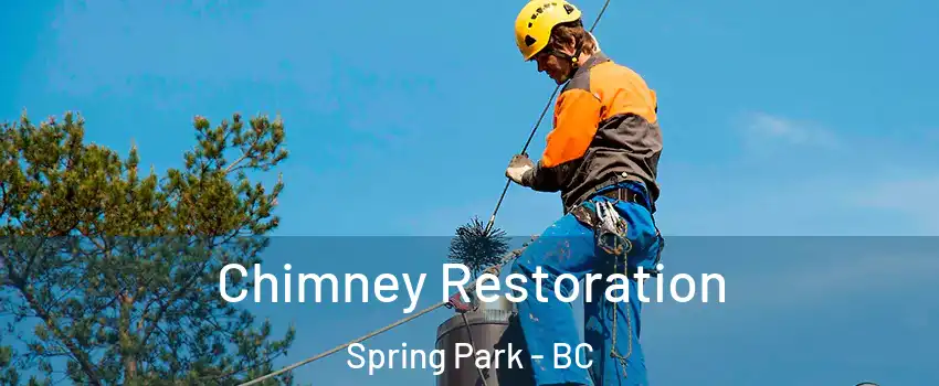  Chimney Restoration Spring Park - BC