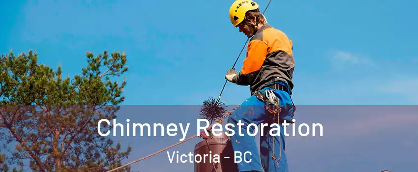  Chimney Restoration Victoria - BC