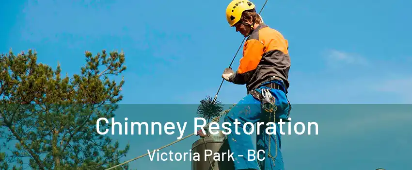 Chimney Restoration Victoria Park - BC