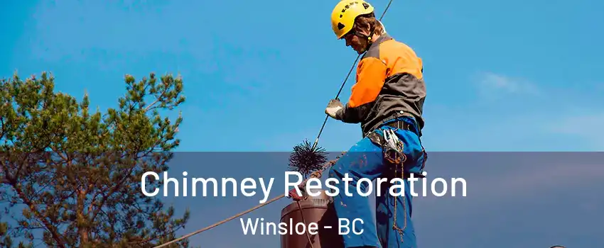  Chimney Restoration Winsloe - BC