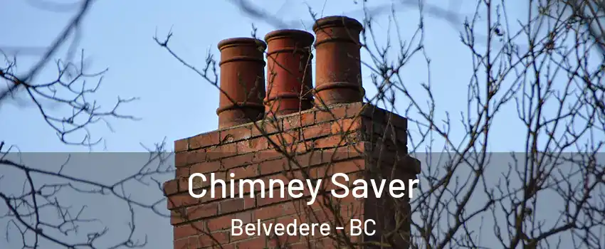  Chimney Saver Belvedere - BC