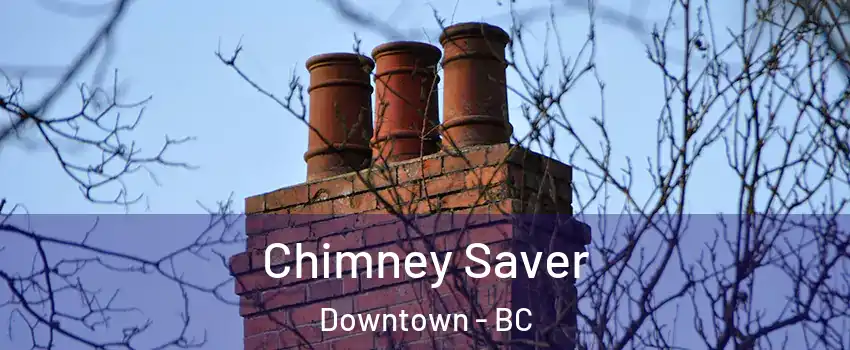  Chimney Saver Downtown - BC