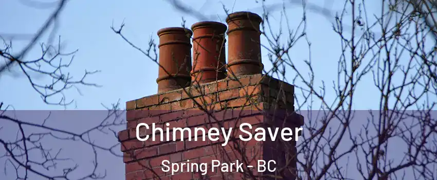  Chimney Saver Spring Park - BC