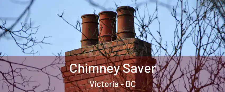  Chimney Saver Victoria - BC