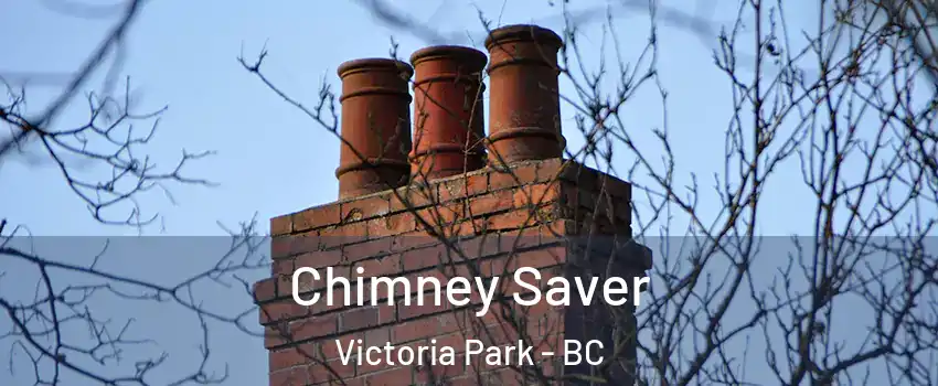  Chimney Saver Victoria Park - BC