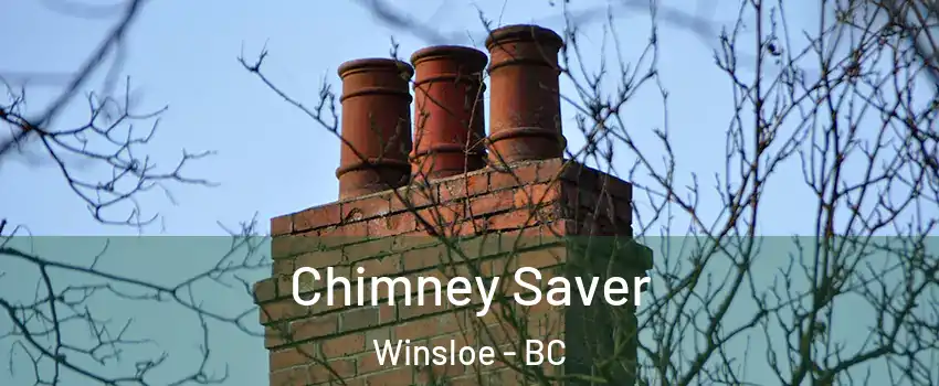  Chimney Saver Winsloe - BC