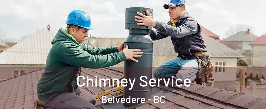  Chimney Service Belvedere - BC