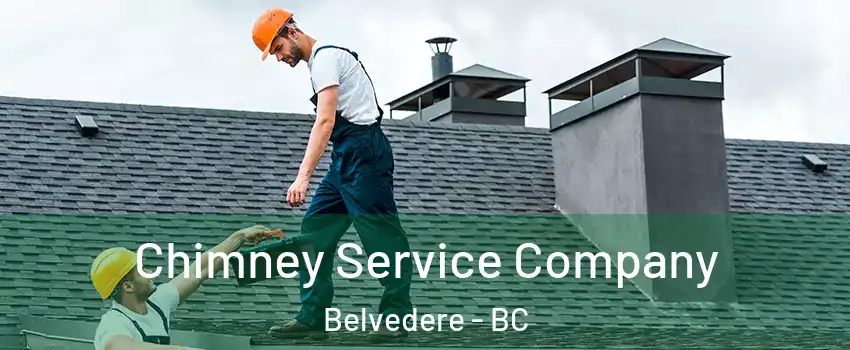  Chimney Service Company Belvedere - BC