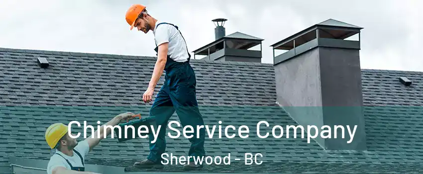  Chimney Service Company Sherwood - BC