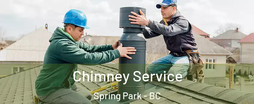  Chimney Service Spring Park - BC