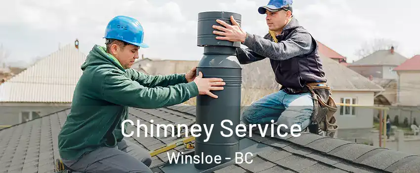  Chimney Service Winsloe - BC