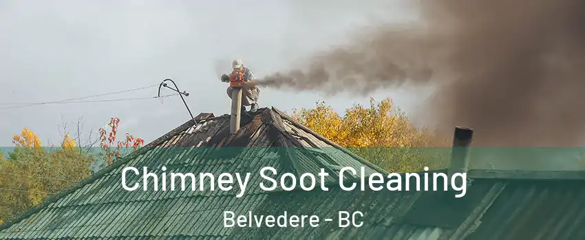 Chimney Soot Cleaning Belvedere - BC