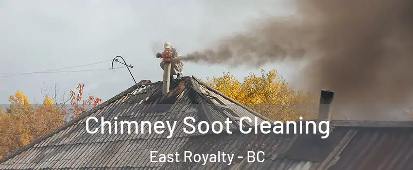  Chimney Soot Cleaning East Royalty - BC