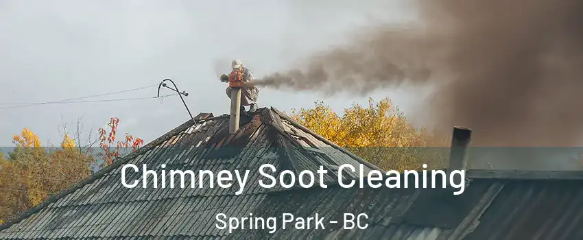  Chimney Soot Cleaning Spring Park - BC