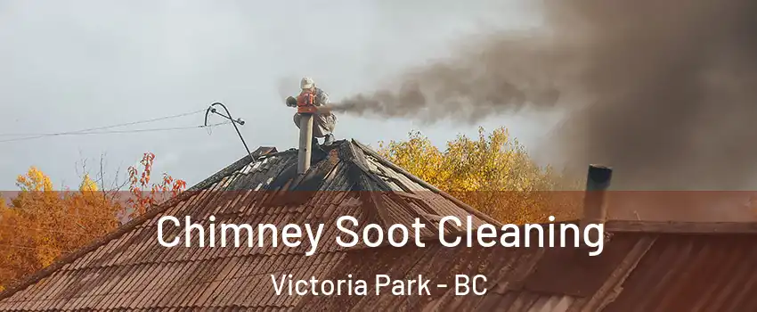  Chimney Soot Cleaning Victoria Park - BC
