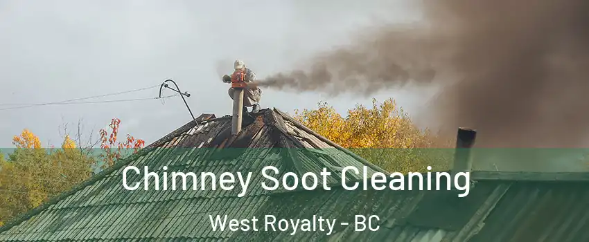  Chimney Soot Cleaning West Royalty - BC