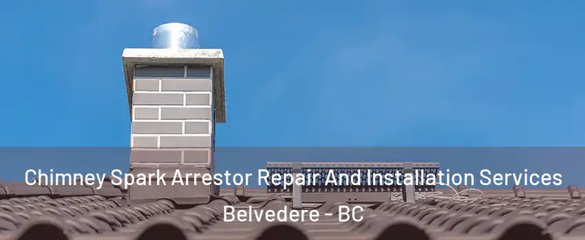  Chimney Spark Arrestor Repair And Installation Services Belvedere - BC