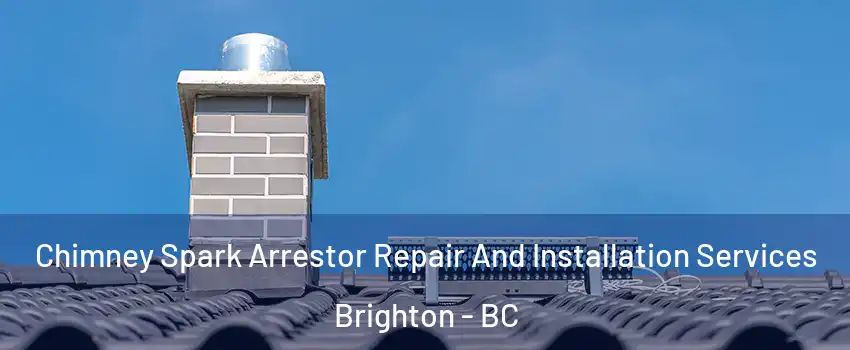  Chimney Spark Arrestor Repair And Installation Services Brighton - BC