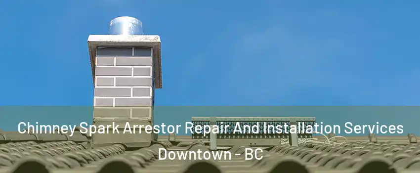  Chimney Spark Arrestor Repair And Installation Services Downtown - BC