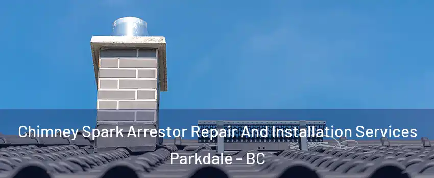  Chimney Spark Arrestor Repair And Installation Services Parkdale - BC