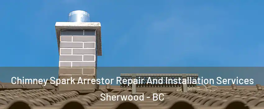  Chimney Spark Arrestor Repair And Installation Services Sherwood - BC