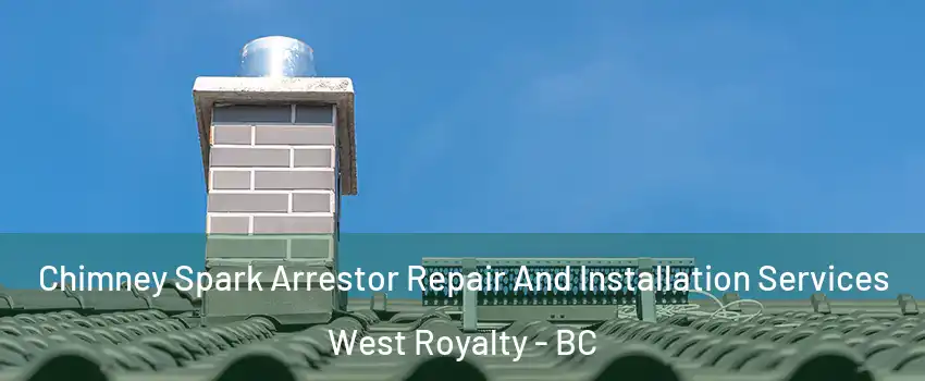  Chimney Spark Arrestor Repair And Installation Services West Royalty - BC