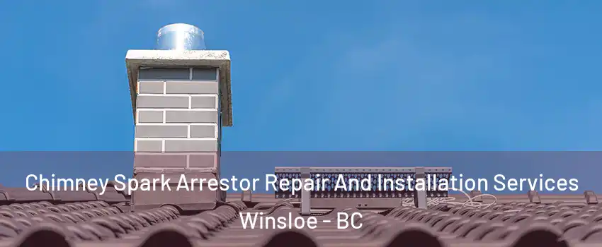  Chimney Spark Arrestor Repair And Installation Services Winsloe - BC