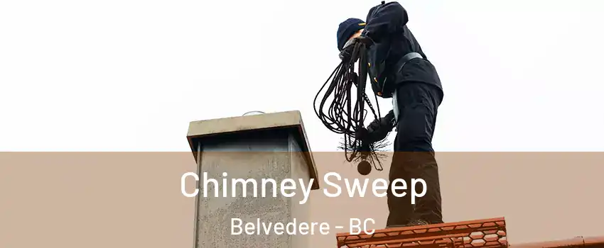  Chimney Sweep Belvedere - BC