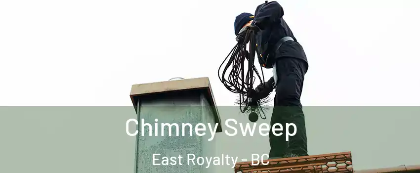  Chimney Sweep East Royalty - BC