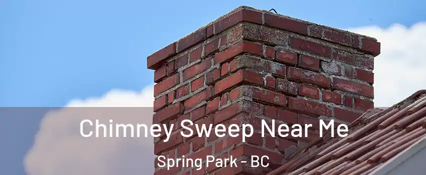  Chimney Sweep Near Me Spring Park - BC
