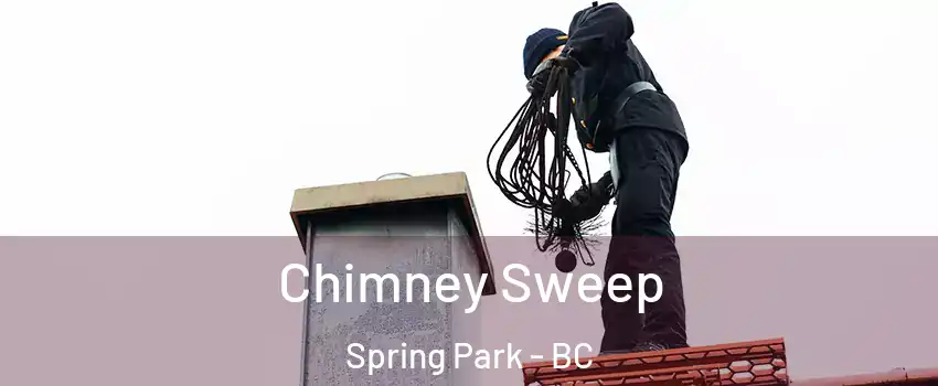  Chimney Sweep Spring Park - BC