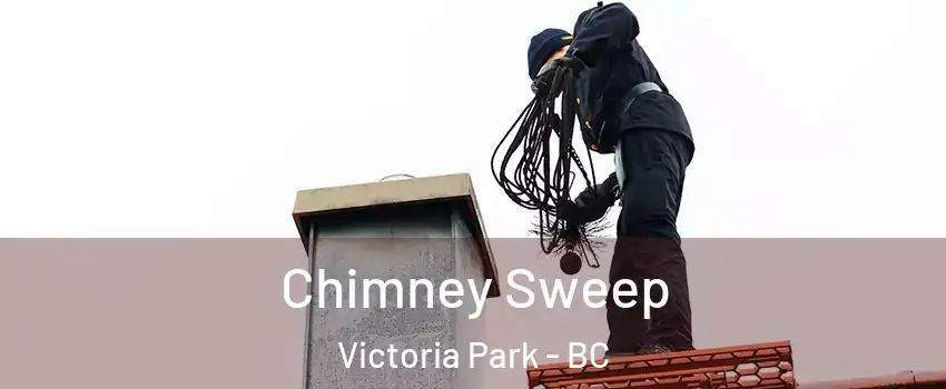  Chimney Sweep Victoria Park - BC