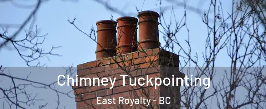  Chimney Tuckpointing East Royalty - BC