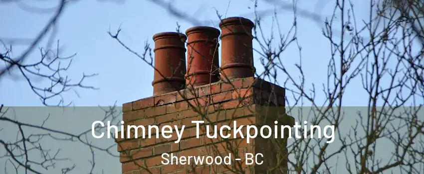 Chimney Tuckpointing Sherwood - BC