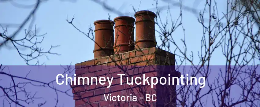  Chimney Tuckpointing Victoria - BC