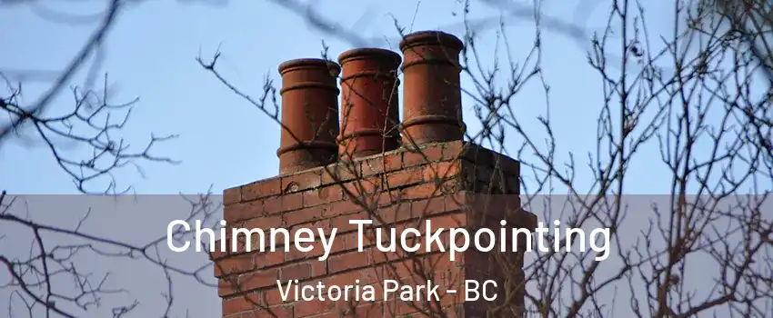  Chimney Tuckpointing Victoria Park - BC