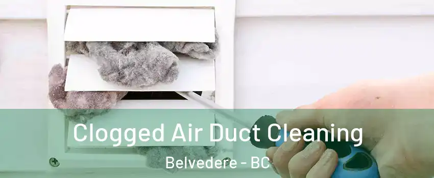  Clogged Air Duct Cleaning Belvedere - BC
