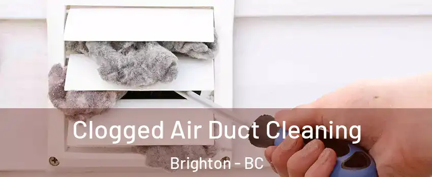  Clogged Air Duct Cleaning Brighton - BC