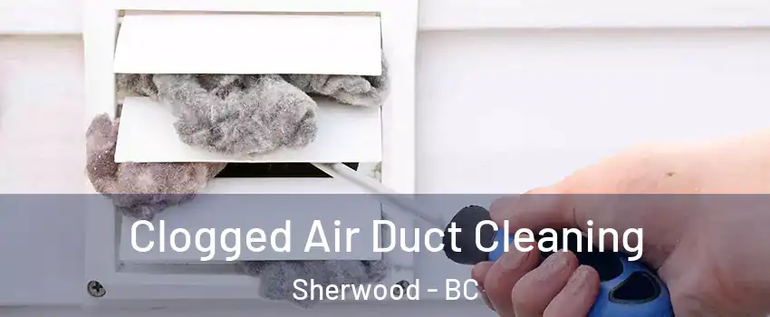 Clogged Air Duct Cleaning Sherwood - BC