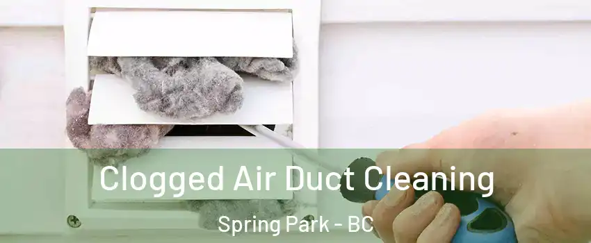  Clogged Air Duct Cleaning Spring Park - BC