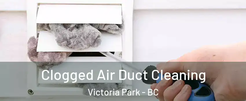  Clogged Air Duct Cleaning Victoria Park - BC