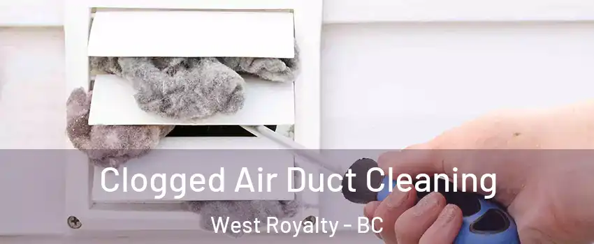  Clogged Air Duct Cleaning West Royalty - BC