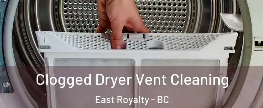  Clogged Dryer Vent Cleaning East Royalty - BC