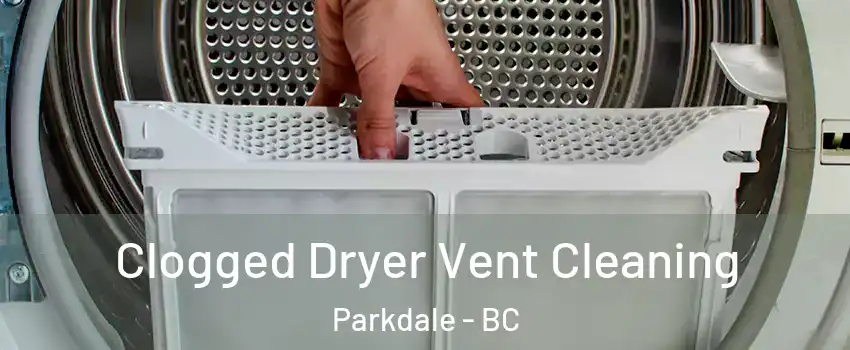  Clogged Dryer Vent Cleaning Parkdale - BC