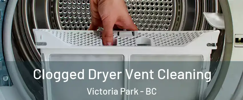  Clogged Dryer Vent Cleaning Victoria Park - BC