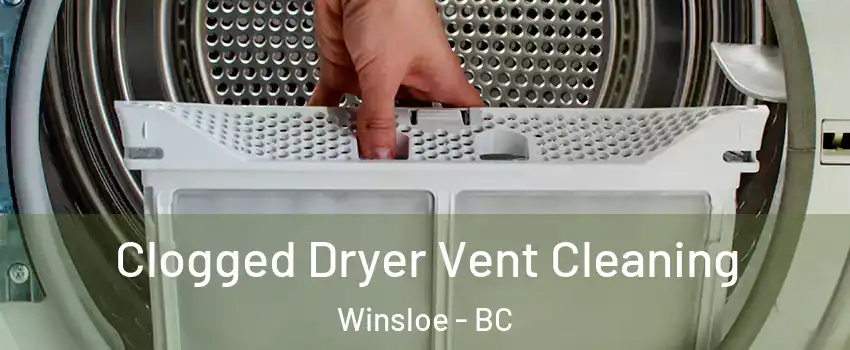  Clogged Dryer Vent Cleaning Winsloe - BC