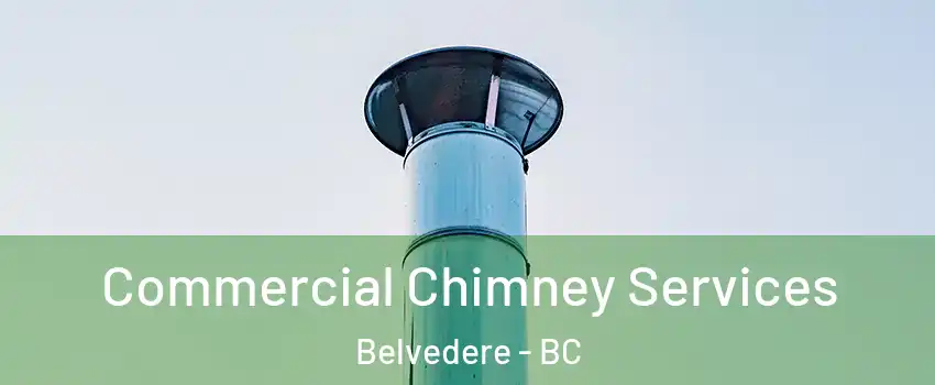  Commercial Chimney Services Belvedere - BC
