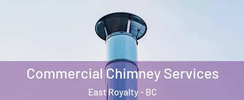  Commercial Chimney Services East Royalty - BC